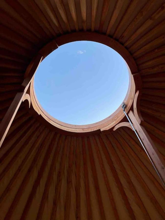 אוגרים Aughavannagh Yurt Glamping מראה חיצוני תמונה