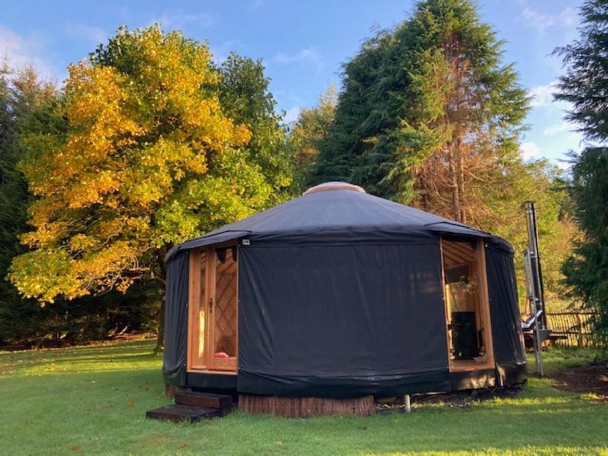 אוגרים Aughavannagh Yurt Glamping מראה חיצוני תמונה